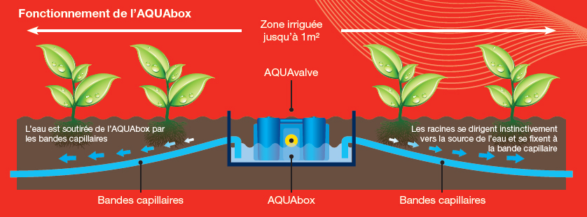 autopot - aquabox